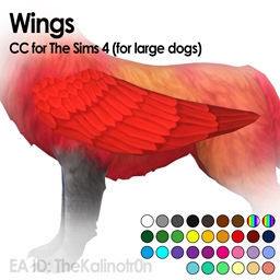 Wings