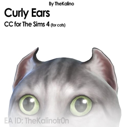 Curly Ears