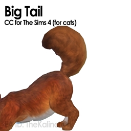 Big Tail