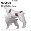 Short Tail (Dogs)