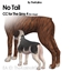 No tail (dogs)