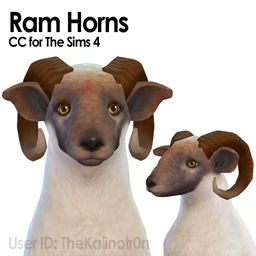 Ram Horn