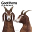 Goat Horn (Dogs)