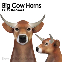 Big Cow Horns