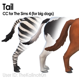 Horse Tail