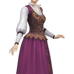 Medieval Dress Collar Corset