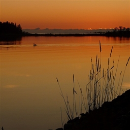 The Imperial Horizon project image