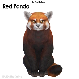 Red Panda - Cat