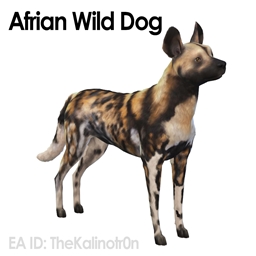 Afrian Wild Dog