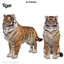 Bengal Tiger - Dog logo