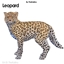 Leopard  - Dog logo