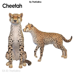 Cheetah  - Dog