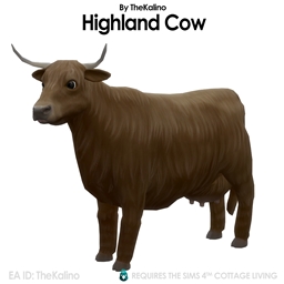 Highland Cow for the Animal Shed