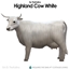 Highland Cow White for the Animal Shed logo