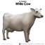White Cow for the Animal Shed logo