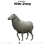 Sheeps for the Animal Shed logo