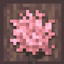 InnerWorld: The sense of Life logo