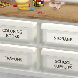 Labeled Plastic Storage Boxes