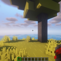 An explorers world