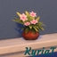 Hymenaios Toasting flowers logo