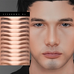 Eyebrows N4