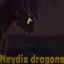 Neydis dragons logo