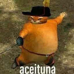 aceituna project image