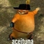 aceituna logo