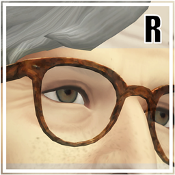 Eyeglasses N8