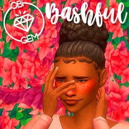 Bashful logo