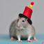 Hats and Rats logo