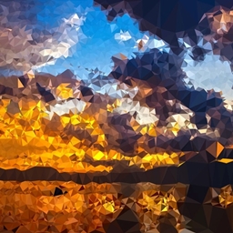 Creativism Explore