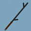 Weapon Additon logo