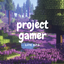 Project Gamer - lite rpg logo