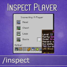 Inspect Player - Minecraft Mods - CurseForge