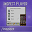 Inspect Player - Minecraft Mods - CurseForge