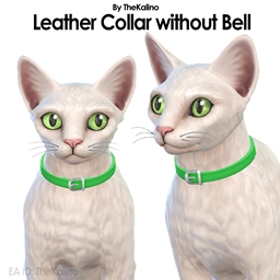 Leather Collar Without Bell