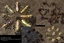 Starcraft Broodwar Models logo