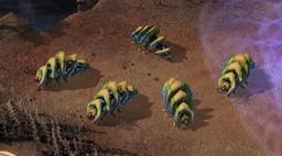 SC2 Reaver Model project avatar