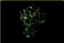 Solstice's Special Effects via. Cutscenes