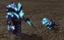 Hybrid Zerg logo