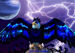 Thunder eagle´s cafenever.com stuff logo
