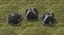 Empty Biodomes