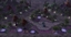 Milph Maps:  AshenVale Ruin