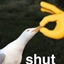 You have to be Joking logo
