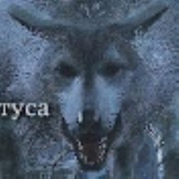 Building & Adventures Extension by Tyca logo