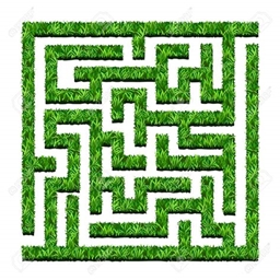 Biome Labyrinth logo