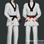 Taekwondo Outfit (AM) logo