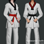 Taekwondo Outfit (AF) logo