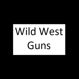 Wild West gun project image